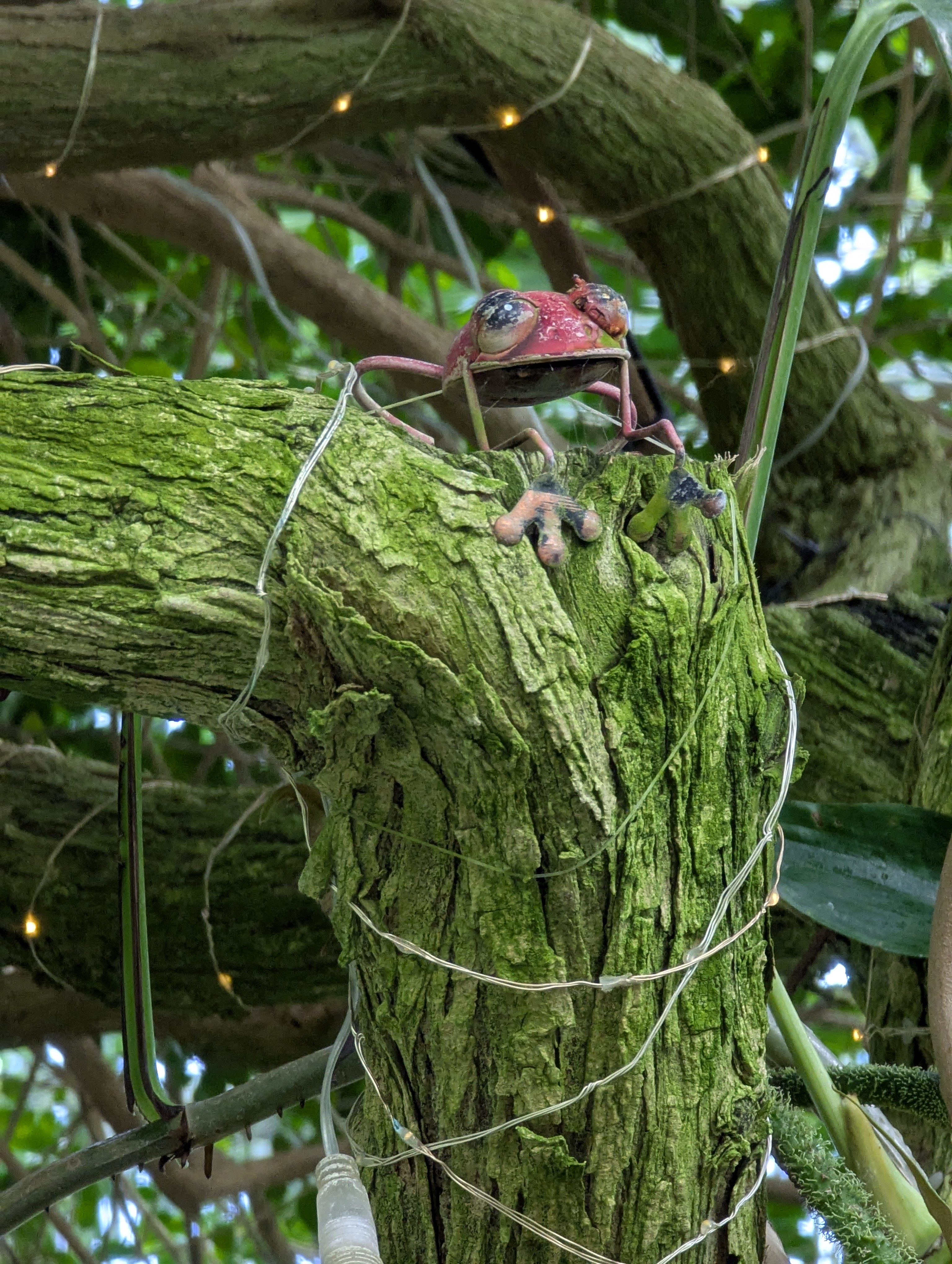 Birthday Trip to Canada, Edmonton, Pyramids, Muttart Observatory